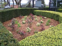 /album/photo-gallery-gardens/dev-002-jpg1/